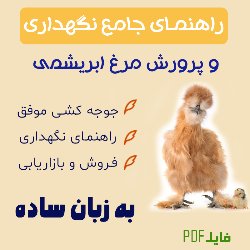 کتاب پرورش مرغ ابریشمی