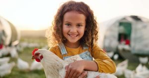 انتخاب مرغ مناسب کودکان